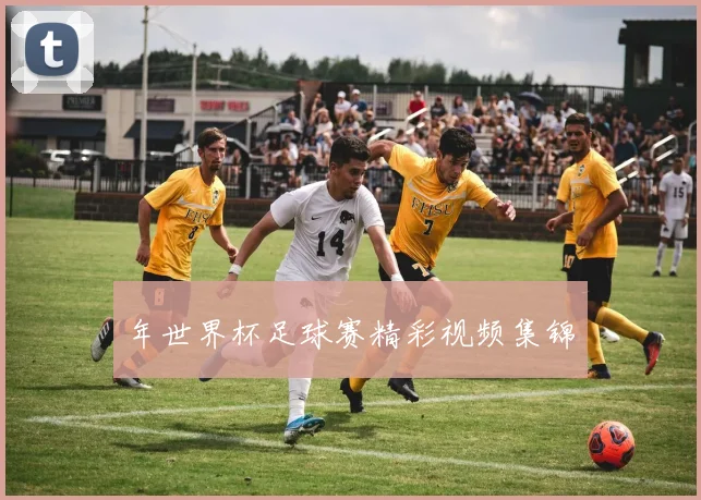 年世界杯足球赛精彩视频集锦
