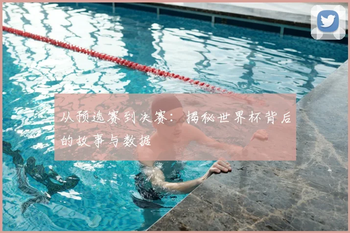 从预选赛到决赛：揭秘世界杯背后的故事与数据